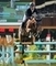 Jack Whitaker cruises to a five-star win in Rome with Izara Des Dames